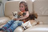 ENFANT ET CHIEN 532